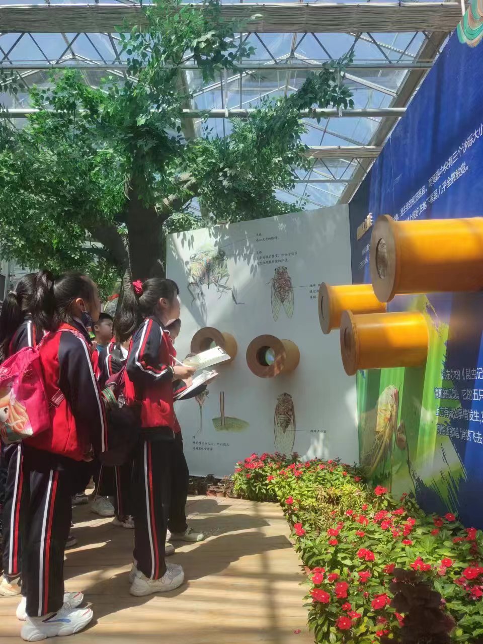 各地中小學(xué)生來(lái)茂豐金蟬科普示范基地研學(xué)